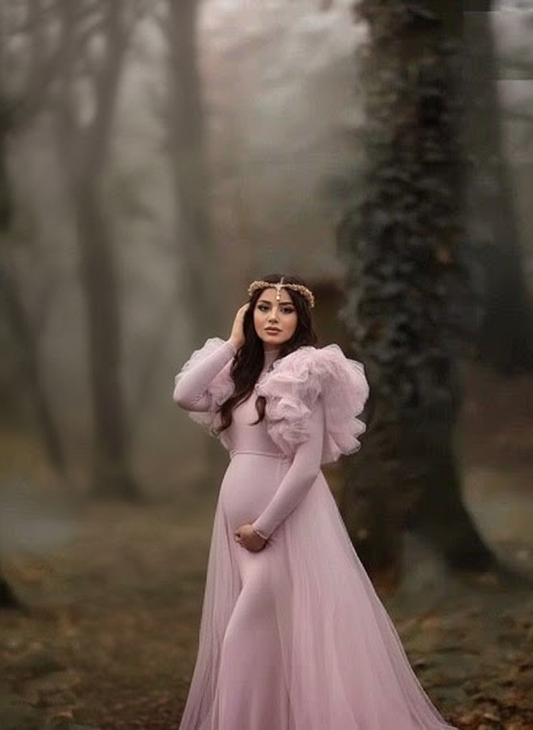 Maternity Long Sleeve Floor-Mounting Mesh gorgeous design gown dress